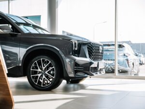 Новый GAC GS8 2024 2.0 AT (231 л.с.) 4WD GX Premium  - фото 6
