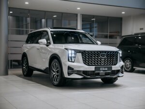 Новый GAC GS8 2024 2.0 AT (231 л.с.) 4WD GX Premium  - фото 6