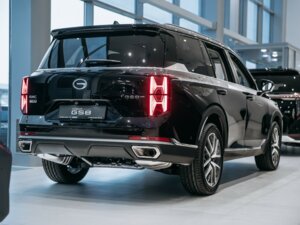 Новый GAC GS8 2024 2.0 AT (231 л.с.) 4WD GX Premium  - фото 2