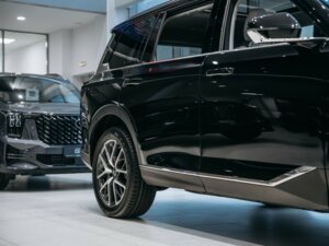 Новый GAC GS8 2024 2.0 AT (231 л.с.) 4WD GX Premium  - фото 3