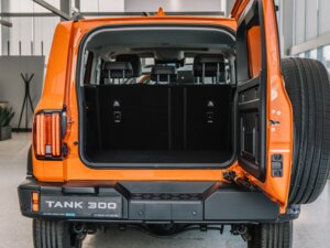 Новый Tank 300 2025 2.0 AT (220 л.с.) 4WD City Adventure  - фото 7
