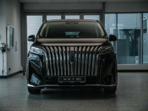 Новый Wey 80 2025 37.96 kWh 1.5hyb AT (487 л.с.) 4WD Premium  - фото 2