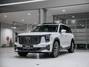Новый GAC GS8 2025 2.0 AT (231 л.с.) 4WD GX Premium  - фото 1