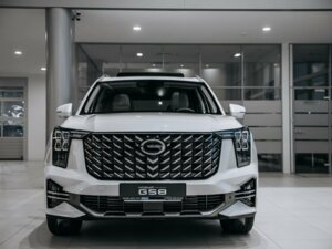 Новый GAC GS8 2025 2.0 AT (231 л.с.) 4WD GX Premium  - фото 2