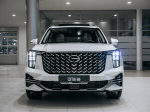 Новый GAC GS8 2025 2.0 AT (231 л.с.) 4WD GX Premium  - фото 4