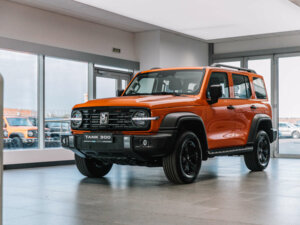 Новый Tank 300 2025 2.0 AT (220 л.с.) 4WD City Adventure  - фото 1