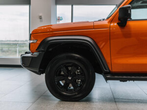 Новый Tank 300 2025 2.0 AT (220 л.с.) 4WD City Adventure  - фото 4