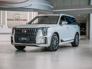 Новый GAC GS8 2025 Dragon 2.0 AT (231 л.с.) 4WD GX Premium  - фото 1