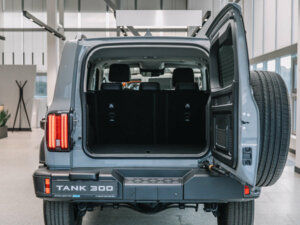 Новый Tank 300 2025 2.0 AT (220 л.с.) 4WD Premium  - фото 8