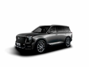 Новый GAC GS8 2025 Dragon 2.0 AT (231 л.с.) 4WD GX Premium  - фото 1