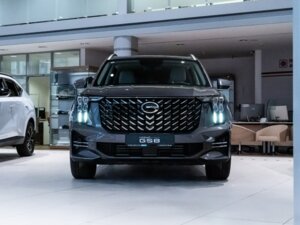 Новый GAC GS8 2025 2.0 AT (231 л.с.) 4WD GL (5 мест)  - фото 1