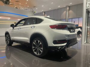 Новый Knewstar 001 2024 2.0 AT (238 л.с.) 4WD Flagship Sport  - фото 5