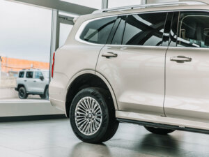 Новый Tank 500 2025 3.0 AT (299 л.с.) 4WD Premium  - фото 4