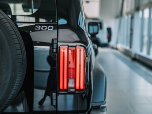 Новый Tank 300 2025 2.0 AT (220 л.с.) 4WD Adventure  - фото 6