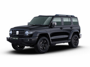 Новый Tank 300 2025 2.0 AT (220 л.с.) 4WD City Adventure  - фото 1