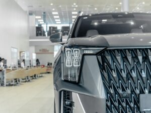 Новый GAC GS8 2025 Dragon 2.0 AT (231 л.с.) 4WD GX Premium  - фото 6