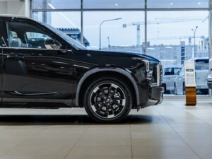 Новый GAC GS8 2025 Traveller 2.0 AT (231 л.с.) 4WD GX Traveller  - фото 8