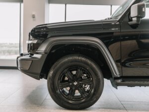 Новый Tank 300 2025 2.0 AT (220 л.с.) 4WD City Adventure  - фото 4