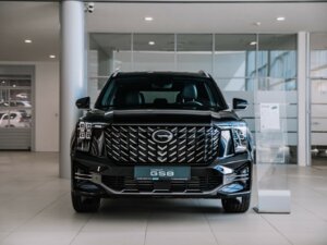 Новый GAC GS8 2025 Dragon 2.0 AT (231 л.с.) 4WD GT  - фото 2
