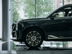 Новый GAC GS8 2025 Dragon 2.0 AT (231 л.с.) 4WD GX Premium  - фото 5