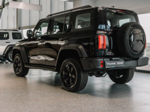 Новый Tank 300 2026 2.0 AT (220 л.с.) 4WD Сити Драйв  - фото 5