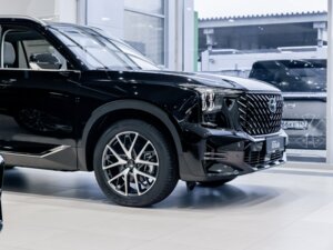 Новый GAC GS8 2025 Dragon 2.0 AT (231 л.с.) 4WD GT  - фото 4