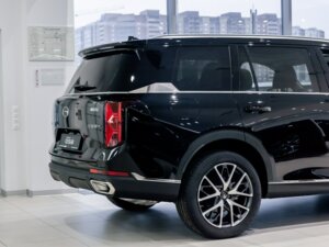 Новый GAC GS8 2025 Dragon 2.0 AT (231 л.с.) 4WD GT  - фото 6