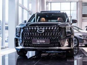 Новый GAC GS8 2025 Dragon 2.0 AT (231 л.с.) 4WD GX Premium  - фото 3