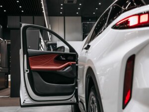 Новый Exeed RX 2024 2.0 AT (249 л.с.) 4WD Premium  - фото 6