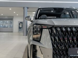 Новый GAC GS8 2025 Dragon 2.0 AT (231 л.с.) 4WD GX Premium  - фото 6