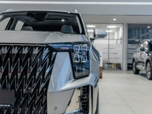 Новый GAC GS8 2025 Dragon 2.0 AT (231 л.с.) 4WD GX Premium  - фото 7