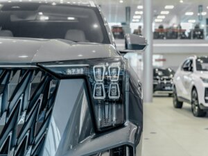 Новый GAC GS8 2025 Dragon 2.0 AT (231 л.с.) 4WD GX Premium  - фото 7