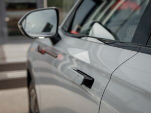 Новый Exeed RX 2024 2.0 AT (249 л.с.) 4WD Premium  - фото 8