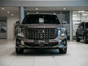Новый GAC GS8 2025 2.0 AT (231 л.с.) 4WD GX Premium  - фото 2