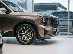 Новый GAC GS8 2025 2.0 AT (231 л.с.) 4WD GX Premium  - фото 7