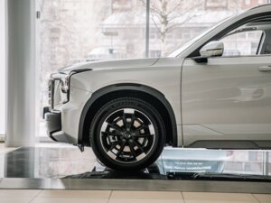 Новый GAC GS8 2025 Traveller 2.0 AT (231 л.с.) 4WD GX Traveller  - фото 5