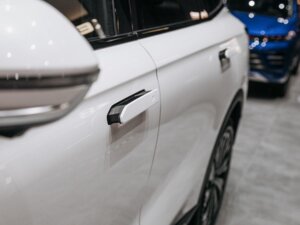 Новый Exeed RX 2024 2.0 AT (249 л.с.) 4WD Premium  - фото 6