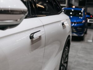 Новый Exeed RX 2025 2.0 AT (249 л.с.) 4WD Premium  - фото 6