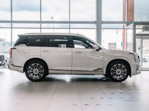 Новый GAC GS8 2025 Dragon 2.0 AT (231 л.с.) 4WD GX Premium  - фото 4