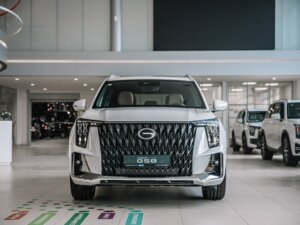 Новый GAC GS8 2025 Dragon 2.0 AT (231 л.с.) 4WD GX Premium  - фото 2