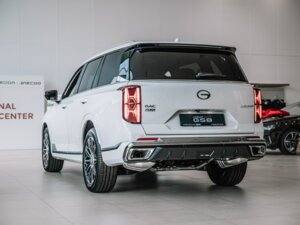 Новый GAC GS8 2025 Dragon 2.0 AT (231 л.с.) 4WD GX Premium  - фото 7