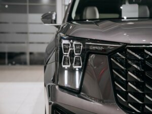 Новый GAC GS8 2026 Dragon 2.0 AT (231 л.с.) 4WD GT  - фото 6