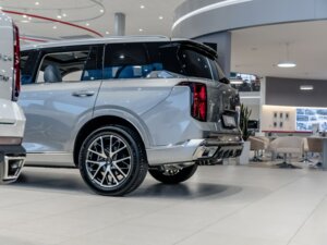 Новый GAC GS8 2025 Dragon 2.0 AT (231 л.с.) 4WD GX Premium  - фото 4