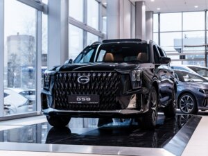 Новый GAC GS8 2026 Dragon 2.0 AT (231 л.с.) 4WD GX Premium  - фото 2