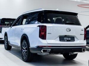 Новый GAC GS8 2026 Dragon 2.0 AT (231 л.с.) 4WD GT  - фото 3