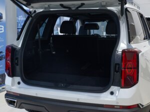 Новый GAC GS8 2026 Dragon 2.0 AT (231 л.с.) 4WD GT  - фото 6