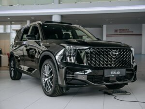 Новый GAC GS8 2026 Dragon 2.0 AT (231 л.с.) 4WD GT  - фото 3