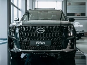 Новый GAC GS8 2026 Dragon 2.0 AT (231 л.с.) 4WD GX Premium  - фото 2