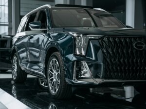 Новый GAC GS8 2026 Dragon 2.0 AT (231 л.с.) 4WD GX Premium  - фото 3