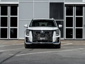 Новый GAC GS8 2025 Dragon 2.0 AT (231 л.с.) 4WD GX Premium  - фото 2